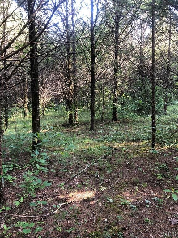 0 Rock Rd, Bourbon, MO 65441