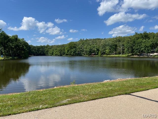 5031 Port Perry Dr, Perryville, MO 63775 - photo 11