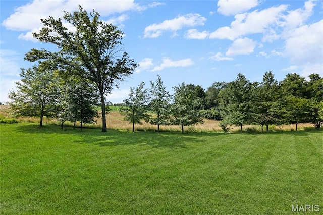 4775 S Hazel Rd, Edwardsville, IL 62025 - view of grassy yard featuring a rural view