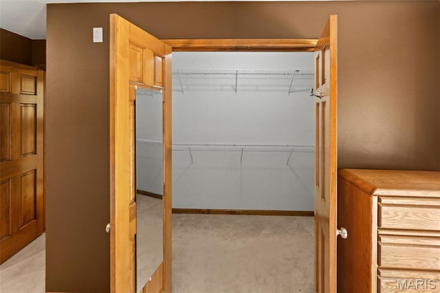 4775 S Hazel Rd, Edwardsville, IL 62025 - walk in closet featuring light colored carpet