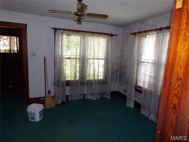 807 E Pine St, Percy, IL 62272 - photo 5