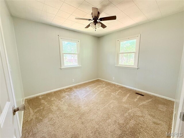 340 County Road 129, Middlebrook, MO 63656 - photo 20