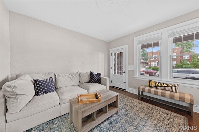 6016 Scanlan Ave, Saint Louis, MO 63139 - living room with wood finished floors