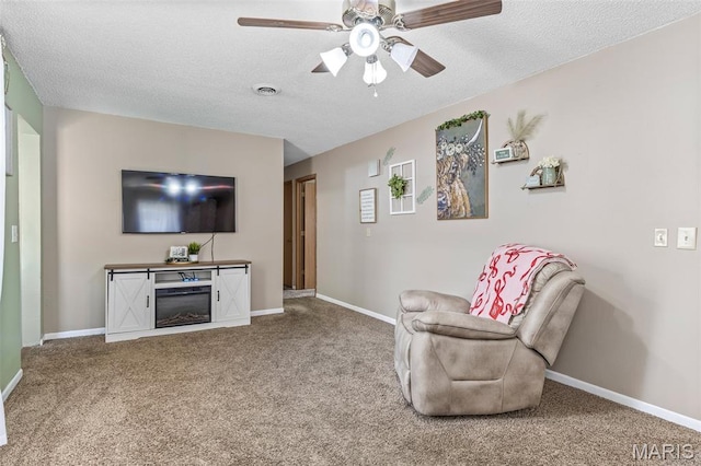 211 Congress St, Park Hills, MO 63601 - living room with carpet, a textured ceiling, and ceiling fan