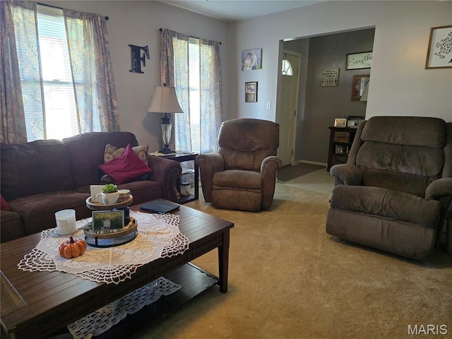 310 E 1st St, Ramsey, IL 62080 - view of carpeted living area