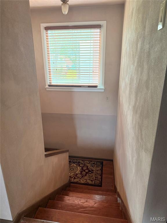 6760 Corbitt Ave, University City, MO 63130 - photo 13