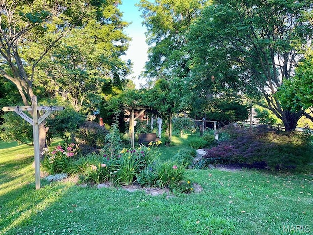 4846 S Point Rd, Washington, MO 63090 - view of grassy yard