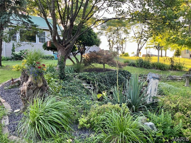 4846 S Point Rd, Washington, MO 63090 - view of yard