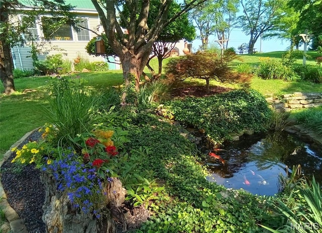 4846 S Point Rd, Washington, MO 63090 - view of grassy yard