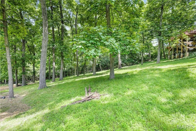 246 Leichester Cir, Ballwin, MO 63011 - view of grassy yard