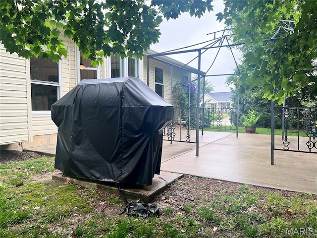 1 Calumet Meadows Ct, Ofallon, MO 63376 - view of patio / terrace with grilling area