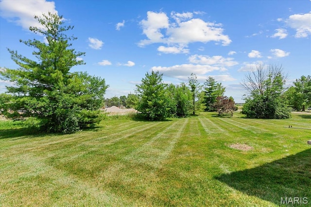 323 Tyndale Dr Unit 13, Ofallon, MO 63366 - photo 21