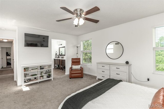 2021 Saint Christopher Way, Arnold, MO 63010