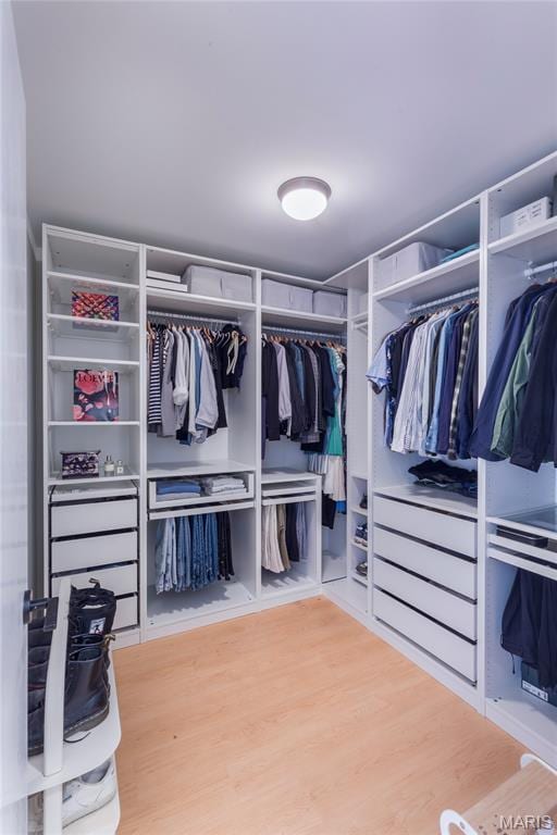 4133 Lafayette Ave, Saint Louis, MO 63110 - spacious closet with wood finished floors