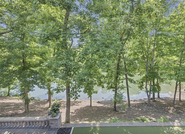12 Prairie Lake Ct, Wentzville, MO 63385 - photo 27