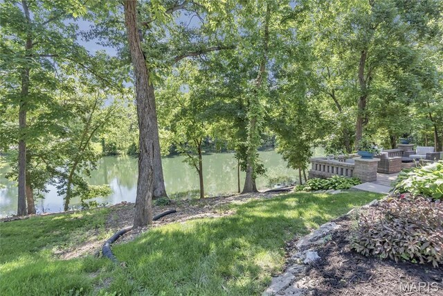 12 Prairie Lake Ct, Wentzville, MO 63385 - photo 46