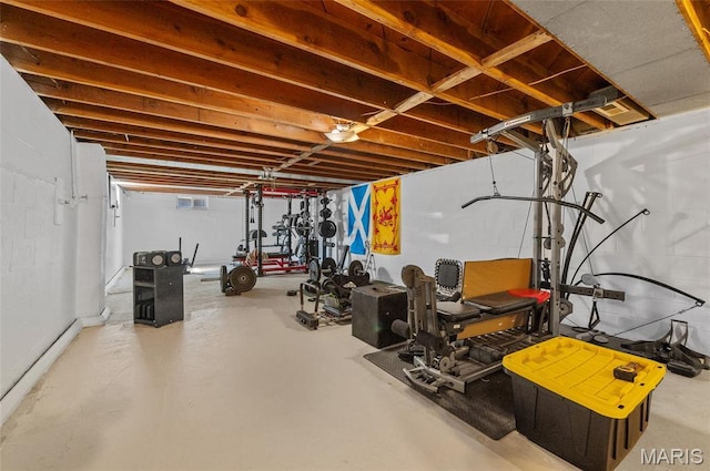 view of unfinished basement