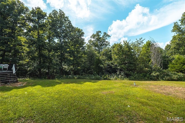 707 County Road 4285, Salem, MO 65560 - photo 21