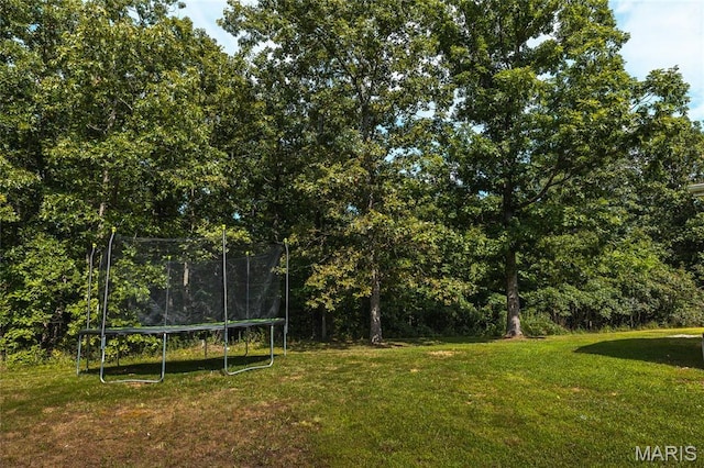 707 County Road 4285, Salem, MO 65560 - photo 23