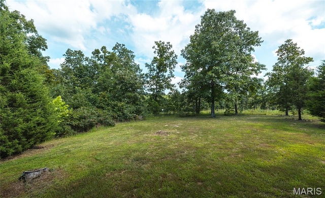 707 County Road 4285, Salem, MO 65560 - photo 26