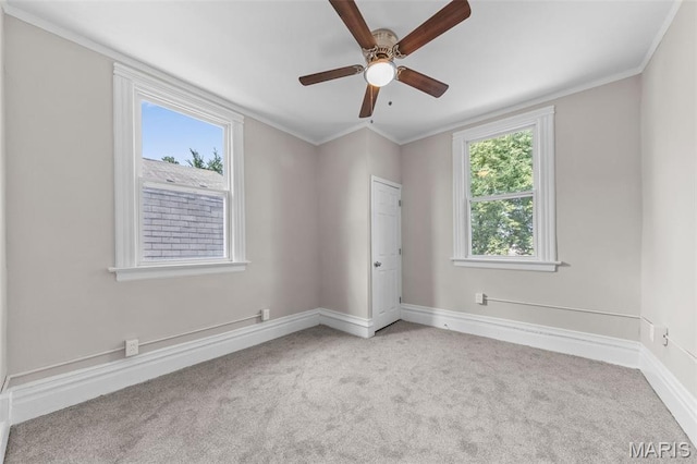 1111 Forest Ave, Saint Louis, MO 63139 - photo 26