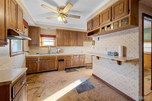 135 Oak Tree Dr, Webster Groves, MO 63119 - kitchen with wallpapered walls, brown cabinets, open shelves, under cabinet range hood, and a ceiling fan