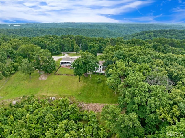 1171 Thunder Mountain Rd, Camdenton, MO 65020 - aerial view of a heavily wooded area