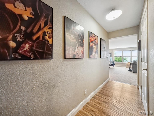 1171 Thunder Mountain Rd, Camdenton, MO 65020 - hallway with a textured wall and wood finished floors
