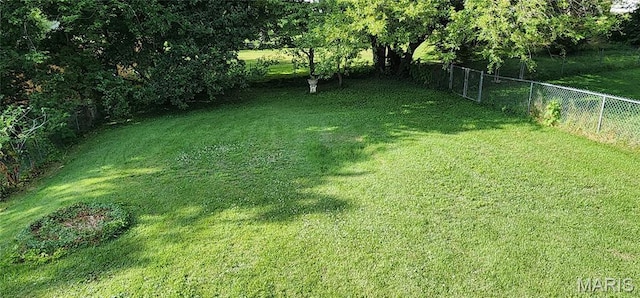 934 Raines Ave, Jackson, MO 63755 - view of yard