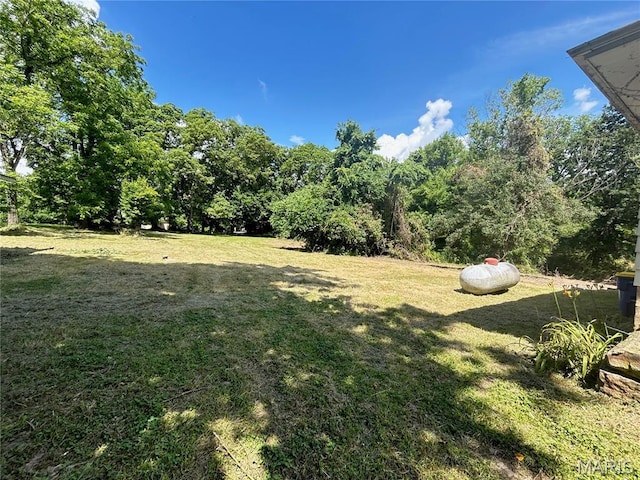 1203 N Main St, Salem, MO 65560 - view of grassy yard