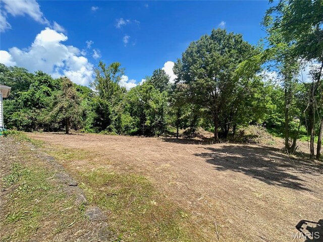 1203 N Main St, Salem, MO 65560 - view of yard