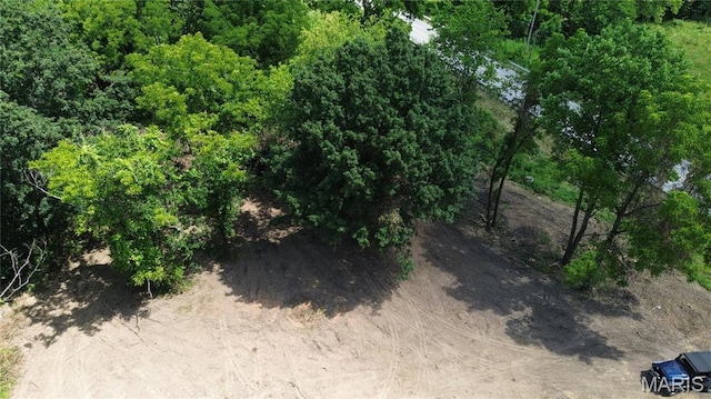 1203 N Main St, Salem, MO 65560 - view of local wilderness