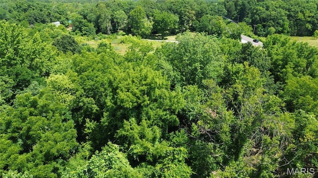1203 N Main St, Salem, MO 65560 - drone / aerial view of a forest