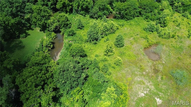 1203 N Main St, Salem, MO 65560 - bird's eye view