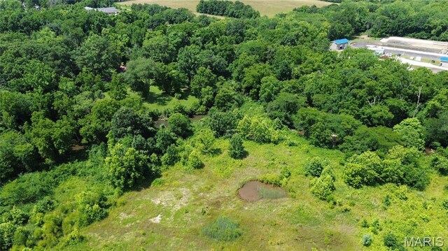 1203 N Main St, Salem, MO 65560 - aerial view of a forest