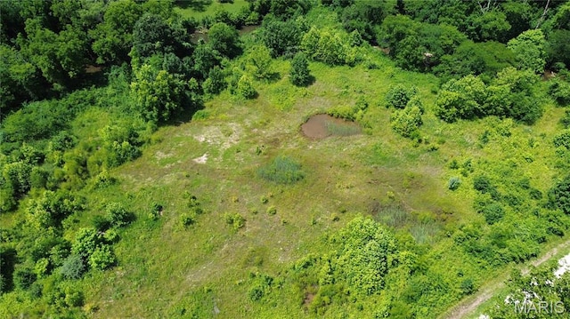 1203 N Main St, Salem, MO 65560 - bird's eye view