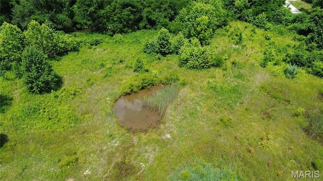 1203 N Main St, Salem, MO 65560 - aerial view