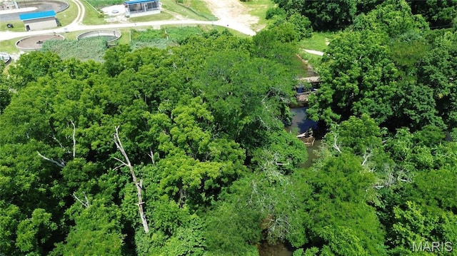 1203 N Main St, Salem, MO 65560 - aerial view of property's location