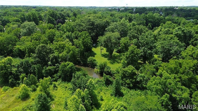 1203 N Main St, Salem, MO 65560 - aerial view of a forest