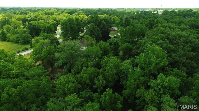 1203 N Main St, Salem, MO 65560 - bird's eye view of a forest