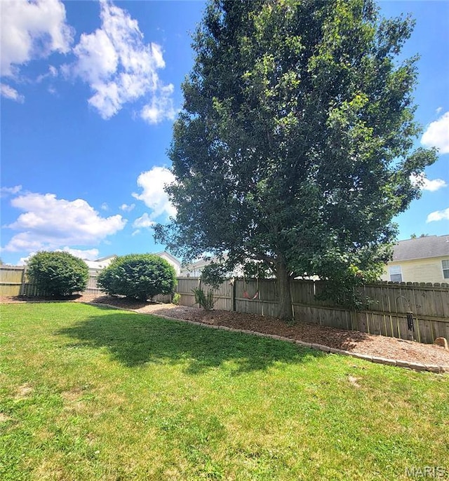 346 Cartpath Ln, Saint Clair, MO 63077 - view of fenced backyard