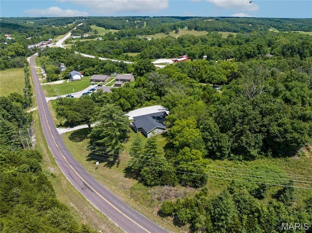 326 State Highway W Rd, Macks Creek, MO 65786 - view of property location featuring a forest