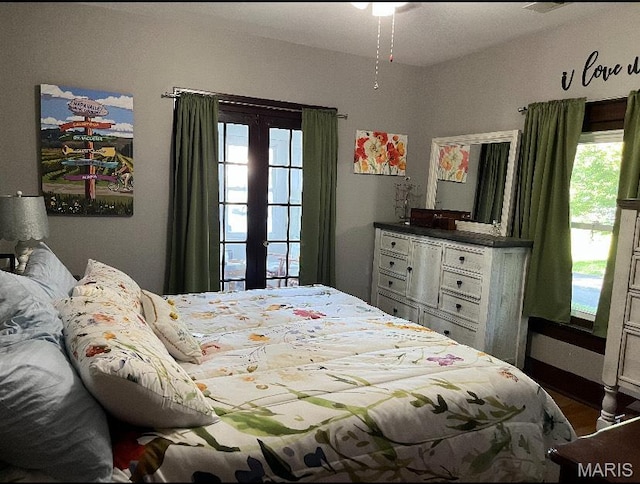 110 Brand Pl, Bonne Terre, MO 63628 - bedroom with multiple windows and french doors