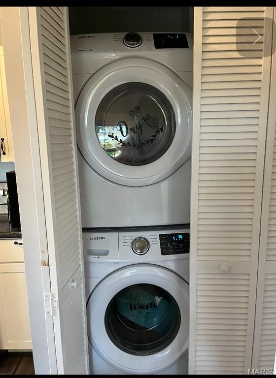 110 Brand Pl, Bonne Terre, MO 63628 - laundry area with stacked washing machine and dryer