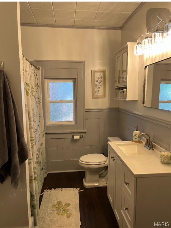110 Brand Pl, Bonne Terre, MO 63628 - bathroom featuring vanity, ornamental molding, wainscoting, wood finished floors, and a shower with curtain