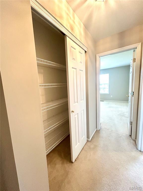 2401 Mountain Range Ct, Pacific, MO 63069 - view of closet