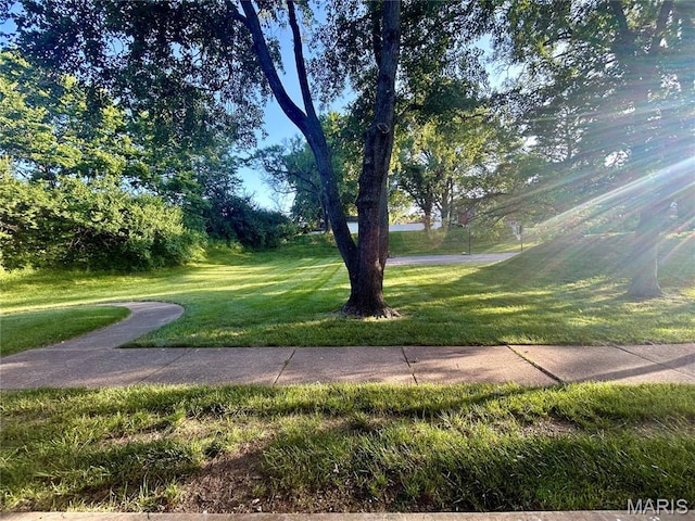 4278 Kay Ln Unit 2, Saint Louis, MO 63123 - view of green lawn
