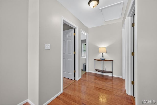 2426 Guardian Ct, Arnold, MO 63010 - hall with attic access and light wood-type flooring