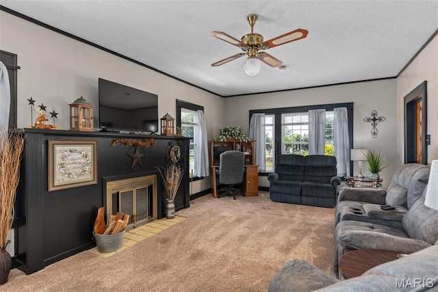 517 S Mayo St, Carlinville, IL 62626 - photo 5