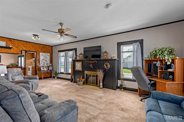 517 S Mayo St, Carlinville, IL 62626 - photo 10